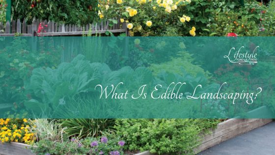 What is Edible Landscaping - Lifestyle Pond & Patio